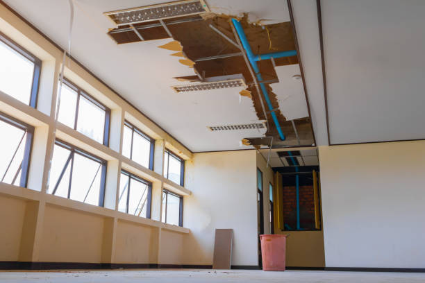 Best Water damage restoration cost  in Stockdale, TX