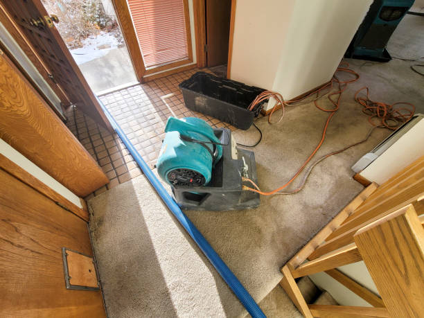 Best Emergency water damage restoration  in Stockdale, TX