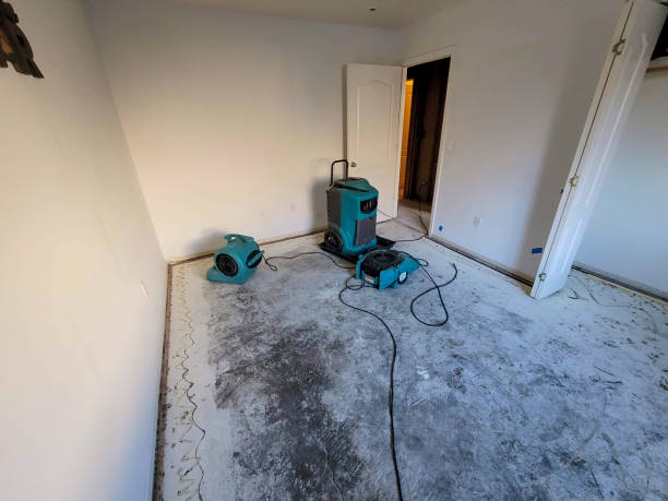 Reliable Stockdale, TX Water damage restoration Solutions