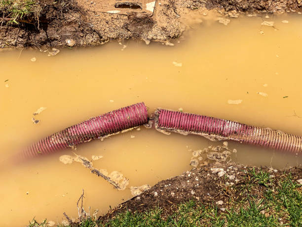 Best Water damage contractors near me  in Stockdale, TX