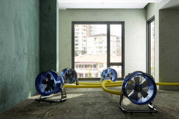 Water damage restoration insurance claims in Stockdale, TX